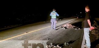 Artista cristiano impacta fuertemente contra un equino en Jinotega