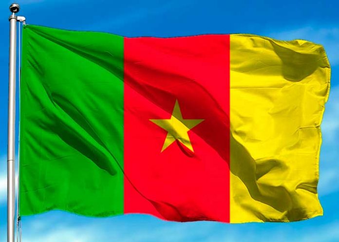 1 Foto: Nicaragua envía cálidas felicitaciones a Camerún /cortesía