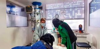 La Mujer que despertó del coma tras la visita de su perro