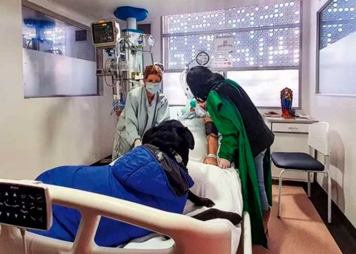 La Mujer que despertó del coma tras la visita de su perro