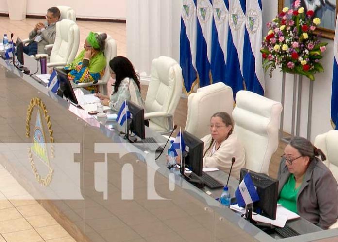 2 Foto: Asamblea Nacional unánime /TN8