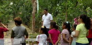 Foto: ¡Sembrando conocimiento en el Arboretum Nacional! Niñez aprende sobre El Madroño/TN8