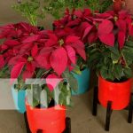 Pascua y Pastores a precios favorables desde el Parque Nacional de Ferias