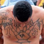 Foto: Policía de México realiza importante captura /cortesía