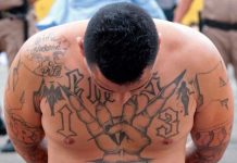 México: Se le acabó la fiesta capturan al ‘Diablito’ el mero mero de las pandillas Foto: Policía de México realiza importante captura /cortesía