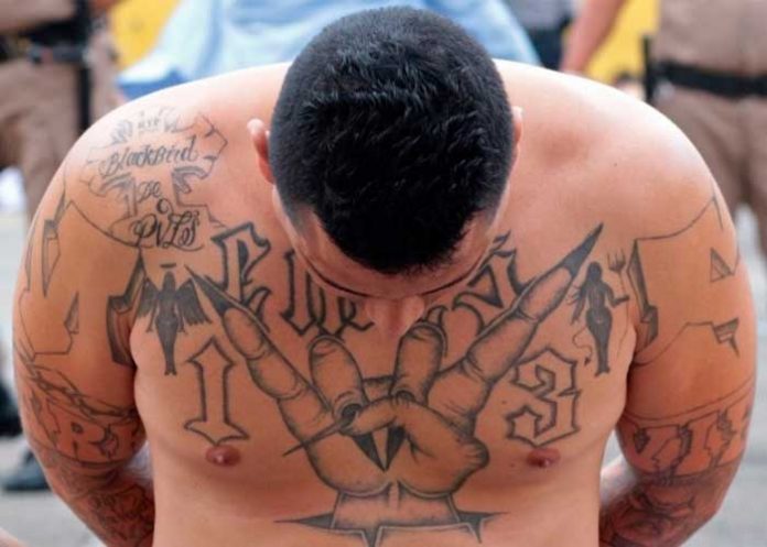 Foto: Policía de México realiza importante captura /cortesía