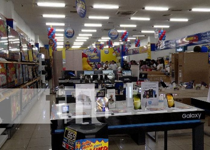 Foto: ¡Deslumbra esta navidad con El Gallo Más Gallo! Descuentos del 50% en cuotas/TN8