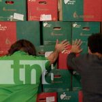 Foto: Toneladas de manzanas y uvas a Nicaragua en fiestas de diciembre /Tn8