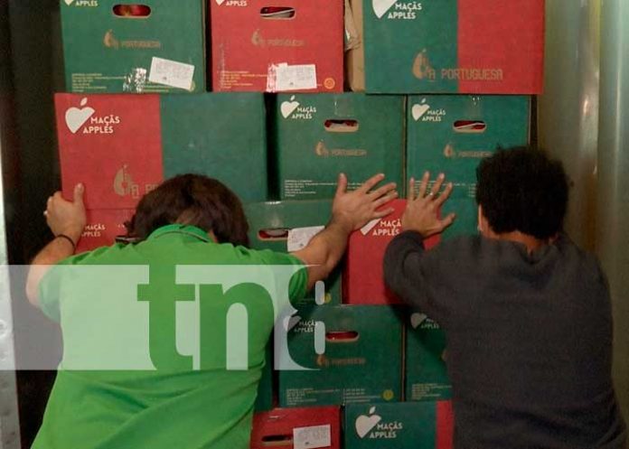 Foto: Toneladas de manzanas y uvas a Nicaragua en fiestas de diciembre /Tn8