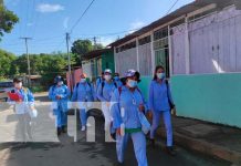 Batalla Anti-Zancudo: 400+ Viviendas Abatizadas