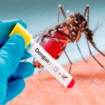 Brasil enfrenta su peor brote de dengue con más de 1 mil muertes Foto: Dengue cobra más vidas que nunca en Brasil /cortesía