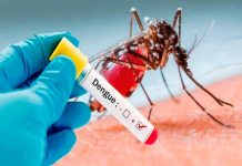 Foto: Dengue cobra más vidas que nunca en Brasil /cortesía