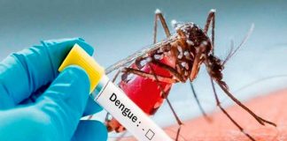 Foto: Dengue cobra más vidas que nunca en Brasil /cortesía