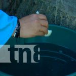 Continúa la lucha antiepidémica contra el mosquito transmisor en Managua Continúa la lucha antiepidémica contra el mosquito transmisor en Managua