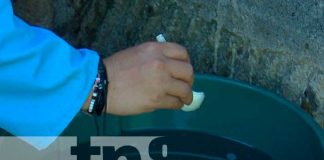 Continúa la lucha antiepidémica contra el mosquito transmisor en Managua