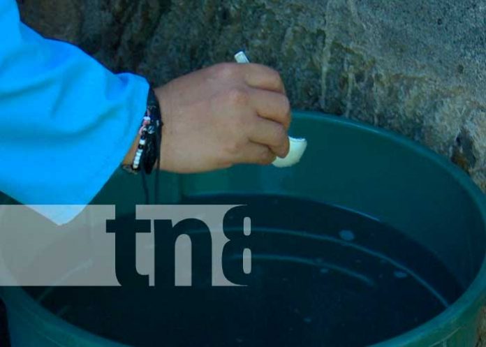 Continúa la lucha antiepidémica contra el mosquito transmisor en Managua