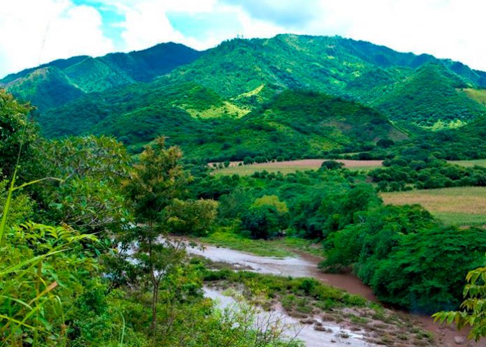 3 Foto: ETICO: Empresa Británica Comprometida con Cooperativas de Nicaragua y Comercio Justo / Cortesía