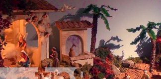 Foto: Cristhian Noel Munguía Agurcia gana Concurso de nacimientos al Niño Dios / TN8