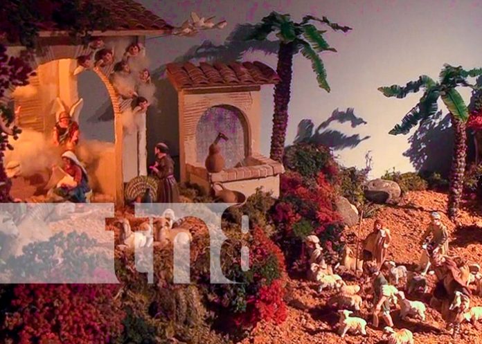 Foto: Cristhian Noel Munguía Agurcia gana Concurso de nacimientos al Niño Dios / TN8