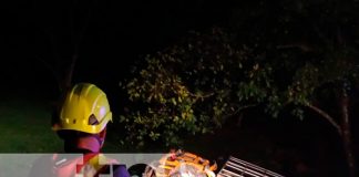 Foto: Diciembre de accidentes: Camión ganadero se precipitó en un abismo de 20 metros / TN8