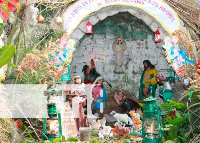 Foto: Realizan tradicional concurso de nacimientos del niño Jesús en Somoto Madriz/Tn8