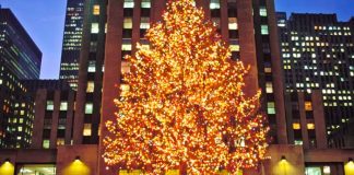 Foto: Orlando Desbanca a Nueva York como Destino Top para Año Nuevo en EE. UU. / Cortesía