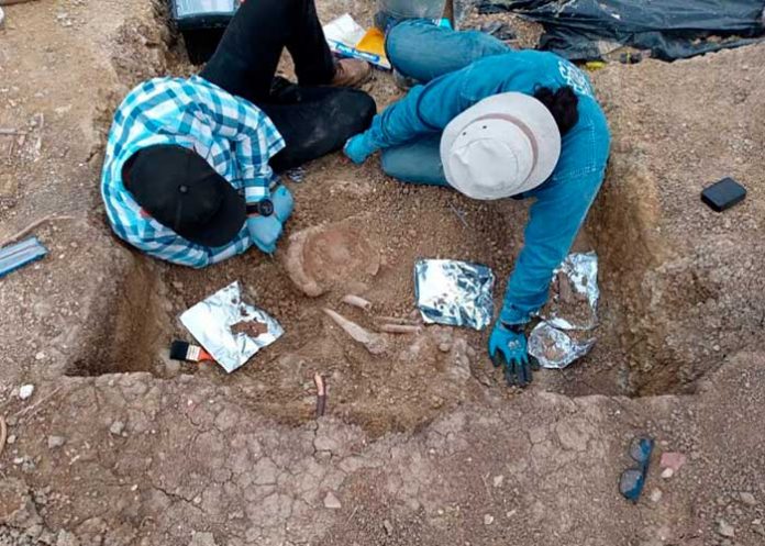 3 Foto: Modificaciones óseas y entierros interesantes en México /cortesía