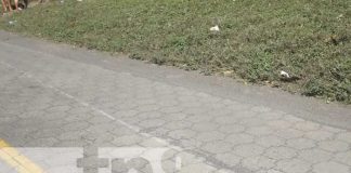Foto: ¡Grave incidente vial en Isla de Ometepe deja a una menor lesionada!/TN8