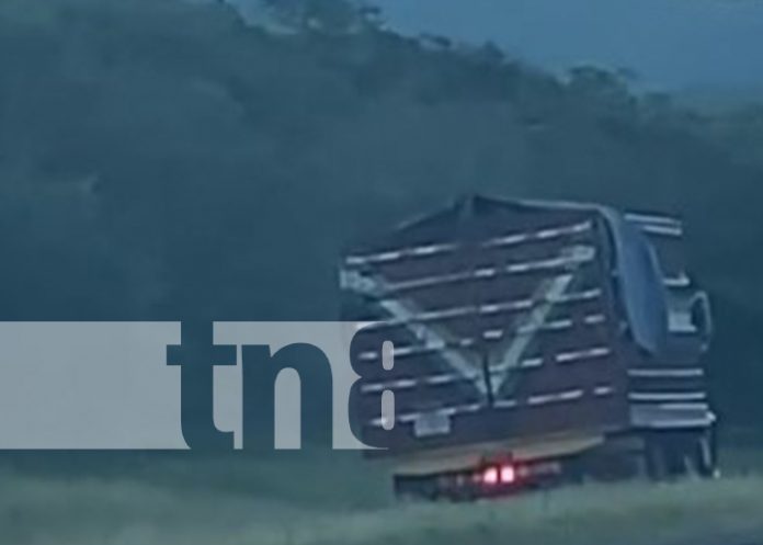 Foto: ¿Descuidado, cansado o distraído? Camionero cuadrea en plena marcha para no volcarse