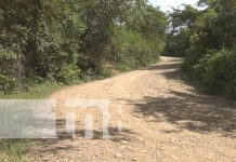 Trágico final para un apasionado ciclista en Estelí Foto: Trágico final para un apasionado ciclista en Estelí/TN8