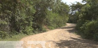 Foto: Trágico final para un apasionado ciclista en Estelí/TN8