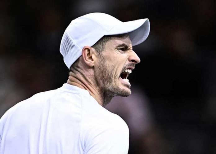 andy, murray, tenis, deporte,