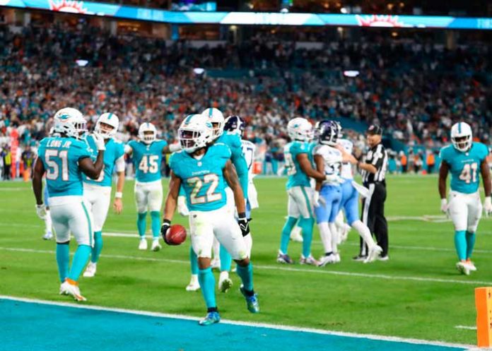 miami, dolphins, nfl, brasil,