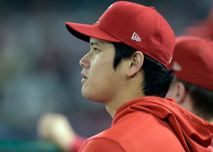 shohei, ohtani, angelinos, angeles,