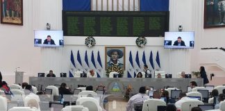 Foto: Sesión parlamentaria en la Asamblea Nacional / TN8