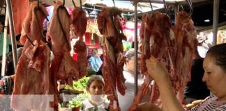 Foto: Compras para la cena navideña en Nicaragua / TN8