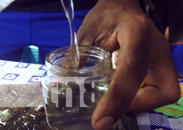 Foto: Cususa, un licor muy popular en la Isla de Ometepe / TN8
