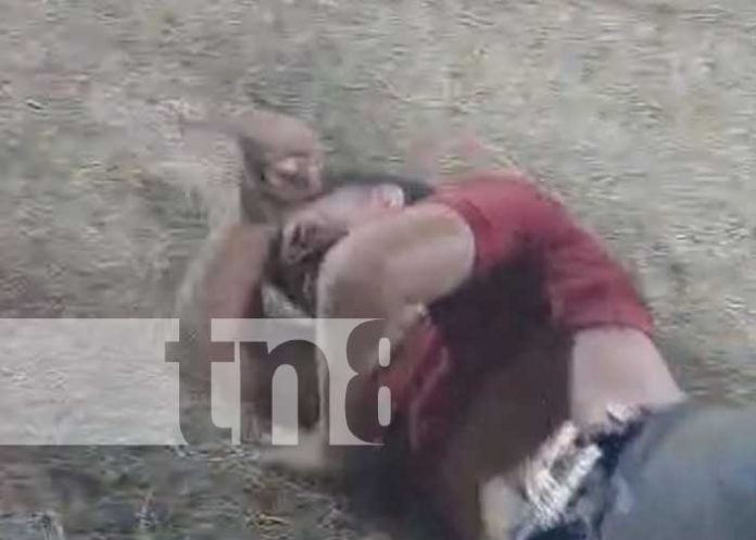 Foto: Accidente durante una monta de toros en Rivas / TN8