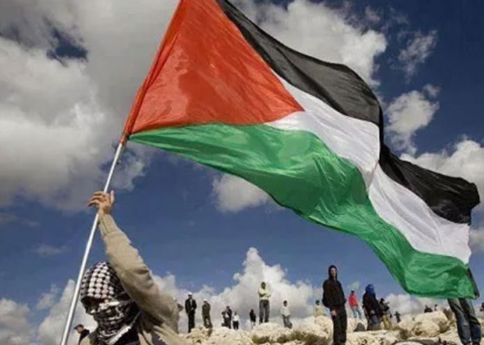 palesss-1 Foto: Una persona sujetando una bandera de Palestina