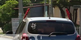 Foto: Cuernos navideños, adornos populares en carros de Managua / TN8