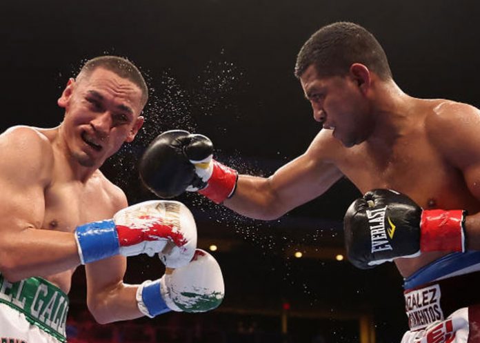 romani-1 Foto: Román