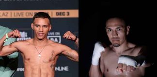 rosales, gallo, estrada, boxeo, rosendo
