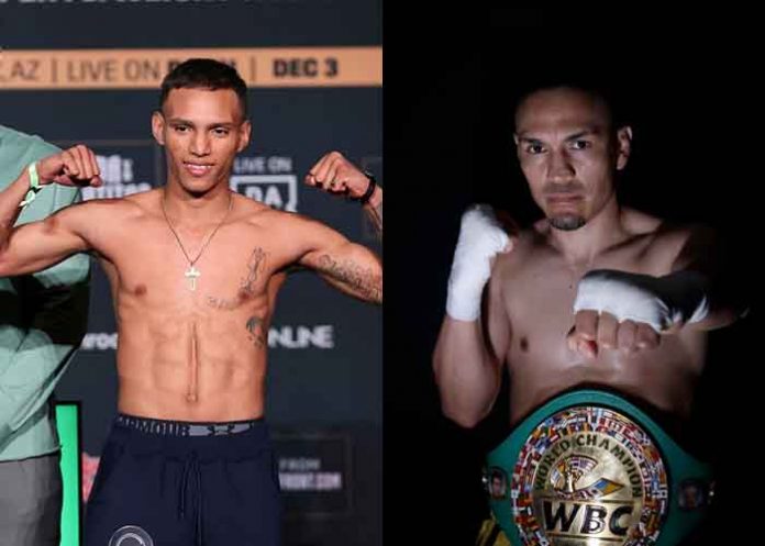 rosales, gallo, estrada, boxeo, rosendo