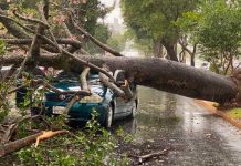 Intensas tormentas azotan Argentina, cobrando la vida de 15 personas Tormentas en Argentina dejan 15 muertos