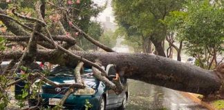 Tormentas en Argentina dejan 15 muertos 