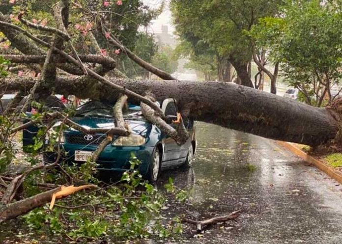 Tormentas en Argentina dejan 15 muertos 
