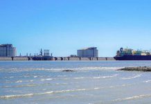 Foto: Estados Unidos lidera exportaciones /cortesía
