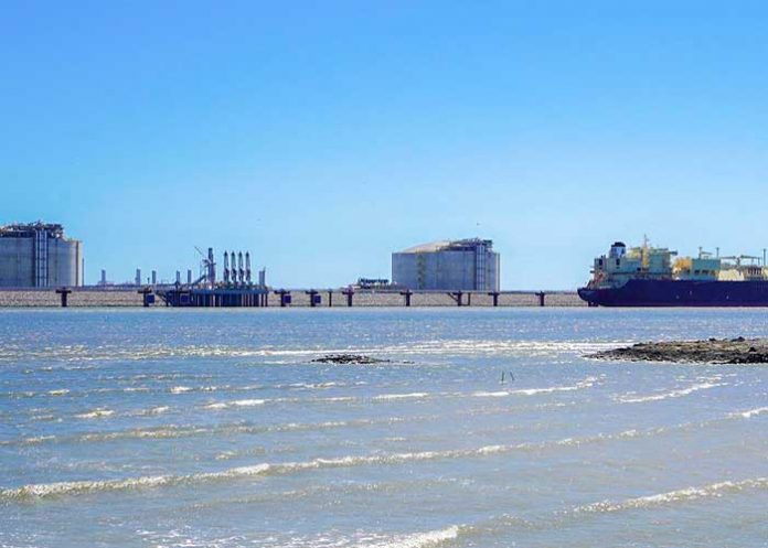 Foto: Estados Unidos lidera exportaciones /cortesía