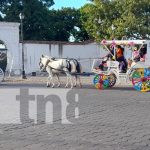 Descubre la magia de Granada: Arte, historia y diversión en un solo lugar
