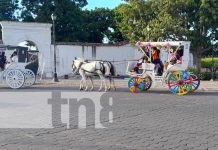 Descubre la magia de Granada: Arte, historia y diversión en un solo lugar Descubre la magia de Granada: Arte, historia y diversión en un solo lugar